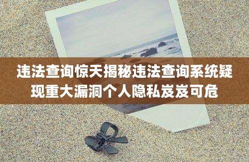 违法查询惊天揭秘违法查询系统疑现重大漏洞个人隐私岌岌可危