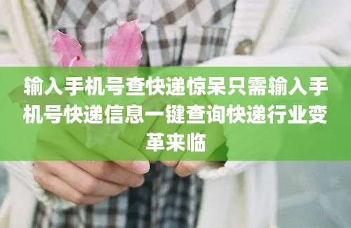 输入手机号查快递惊呆只需输入手机号快递信息一键查询快递行业变革来临