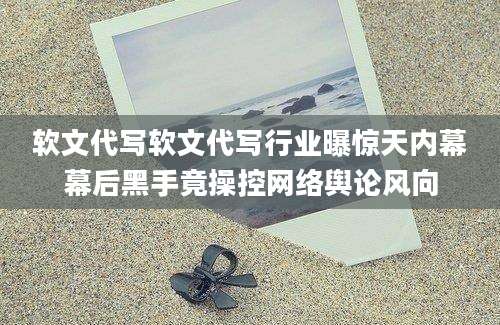 软文代写软文代写行业曝惊天内幕幕后黑手竟操控网络舆论风向