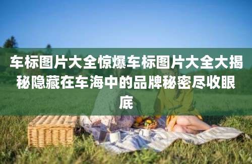 车标图片大全惊爆车标图片大全大揭秘隐藏在车海中的品牌秘密尽收眼底