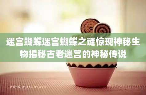 迷宫蝴蝶迷宫蝴蝶之谜惊现神秘生物揭秘古老迷宫的神秘传说