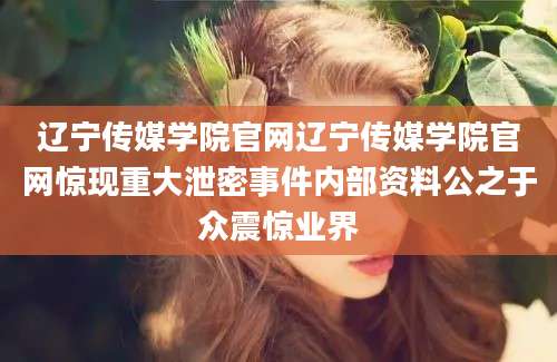 辽宁传媒学院官网辽宁传媒学院官网惊现重大泄密事件内部资料公之于众震惊业界
