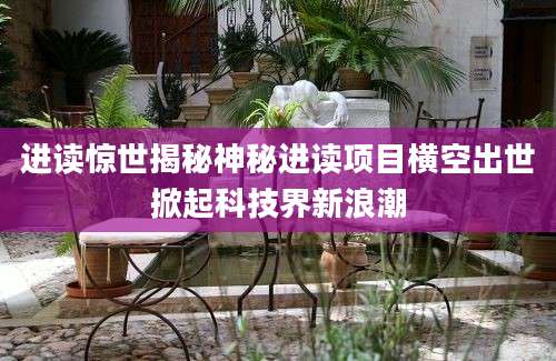 进读惊世揭秘神秘进读项目横空出世掀起科技界新浪潮
