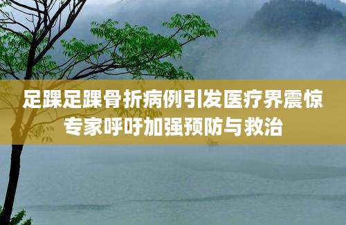 足踝足踝骨折病例引发医疗界震惊专家呼吁加强预防与救治