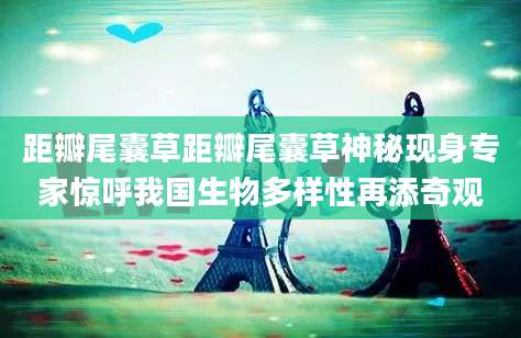 距瓣尾囊草距瓣尾囊草神秘现身专家惊呼我国生物多样性再添奇观