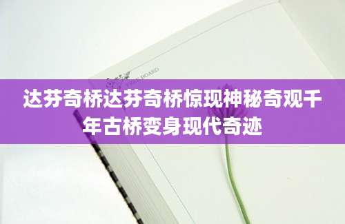 达芬奇桥达芬奇桥惊现神秘奇观千年古桥变身现代奇迹