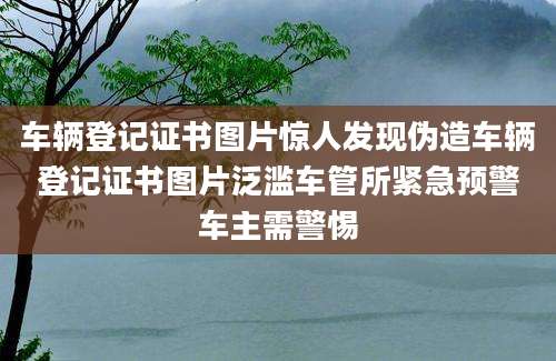 车辆登记证书图片惊人发现伪造车辆登记证书图片泛滥车管所紧急预警车主需警惕