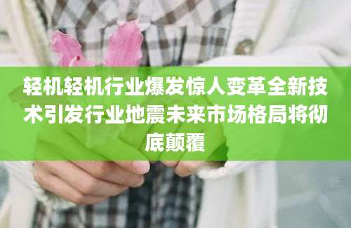 轻机轻机行业爆发惊人变革全新技术引发行业地震未来市场格局将彻底颠覆