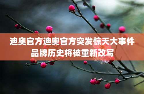 迪奥官方迪奥官方突发惊天大事件品牌历史将被重新改写