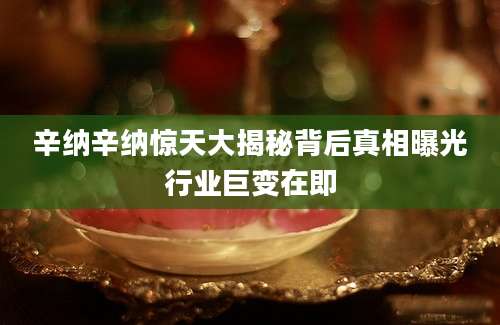 辛纳辛纳惊天大揭秘背后真相曝光行业巨变在即