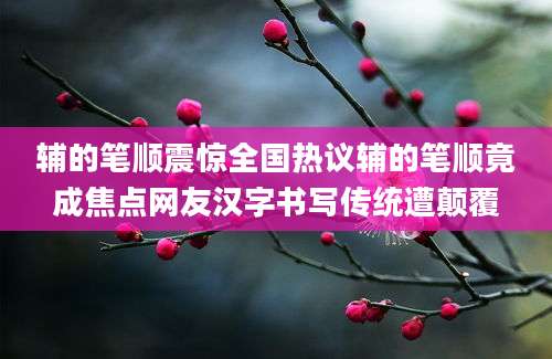 辅的笔顺震惊全国热议辅的笔顺竟成焦点网友汉字书写传统遭颠覆