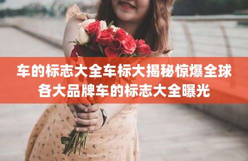 车的标志大全车标大揭秘惊爆全球各大品牌车的标志大全曝光