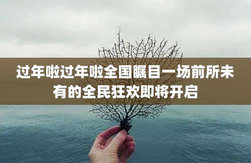 过年啦过年啦全国瞩目一场前所未有的全民狂欢即将开启