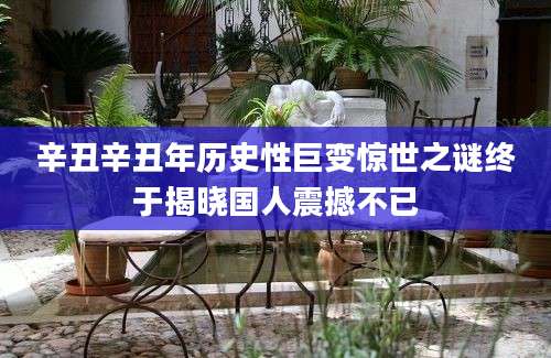 辛丑辛丑年历史性巨变惊世之谜终于揭晓国人震撼不已