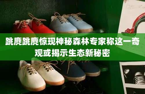 跳麂跳麂惊现神秘森林专家称这一奇观或揭示生态新秘密