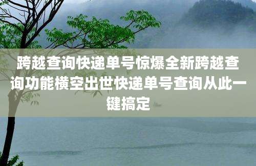 跨越查询快递单号惊爆全新跨越查询功能横空出世快递单号查询从此一键搞定