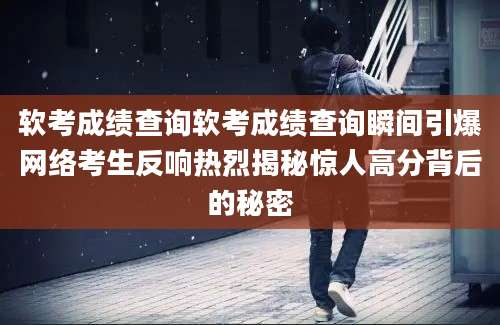 软考成绩查询软考成绩查询瞬间引爆网络考生反响热烈揭秘惊人高分背后的秘密