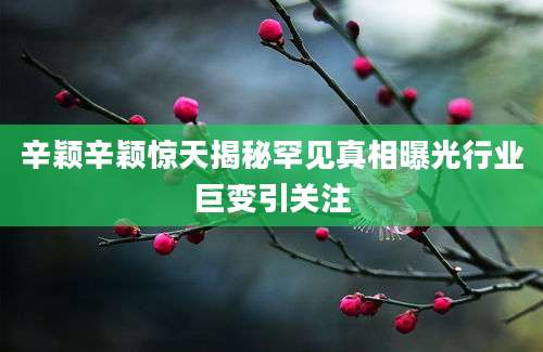 辛颖辛颖惊天揭秘罕见真相曝光行业巨变引关注
