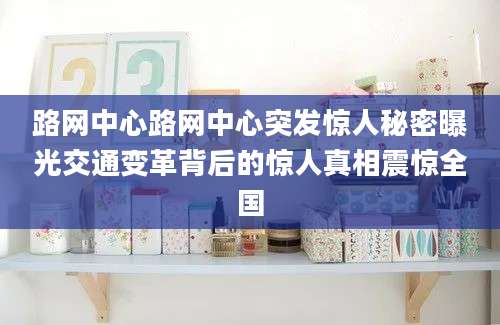 路网中心路网中心突发惊人秘密曝光交通变革背后的惊人真相震惊全国