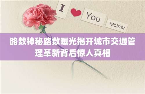 路数神秘路数曝光揭开城市交通管理革新背后惊人真相