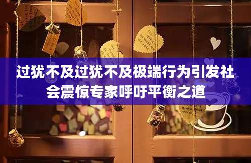 过犹不及过犹不及极端行为引发社会震惊专家呼吁平衡之道