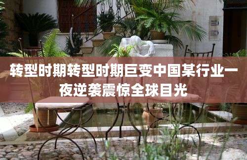 转型时期转型时期巨变中国某行业一夜逆袭震惊全球目光