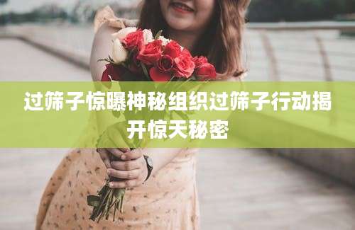 过筛子惊曝神秘组织过筛子行动揭开惊天秘密