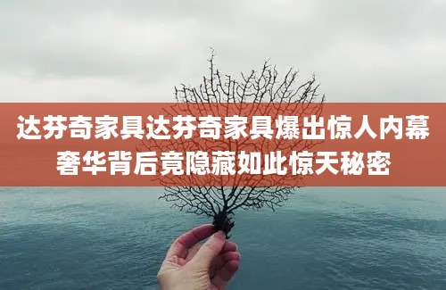 达芬奇家具达芬奇家具爆出惊人内幕奢华背后竟隐藏如此惊天秘密