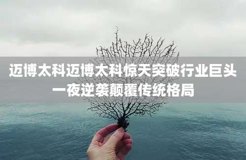 迈博太科迈博太科惊天突破行业巨头一夜逆袭颠覆传统格局