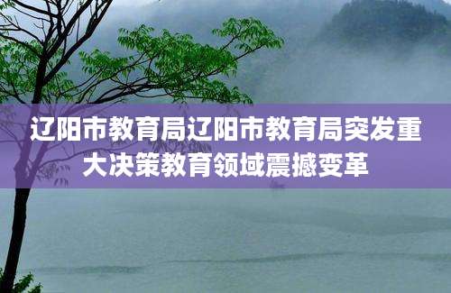 辽阳市教育局辽阳市教育局突发重大决策教育领域震撼变革