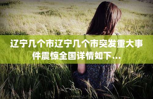 辽宁几个市辽宁几个市突发重大事件震惊全国详情如下...
