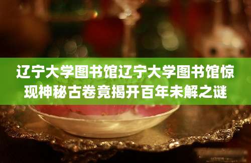 辽宁大学图书馆辽宁大学图书馆惊现神秘古卷竟揭开百年未解之谜