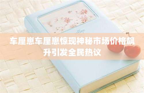 车厘崽车厘崽惊现神秘市场价格飙升引发全民热议