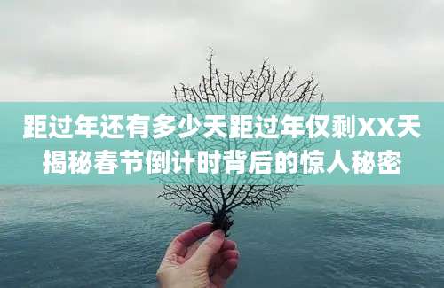 距过年还有多少天距过年仅剩XX天揭秘春节倒计时背后的惊人秘密