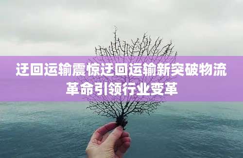 迂回运输震惊迂回运输新突破物流革命引领行业变革