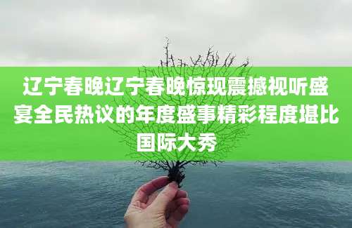 辽宁春晚辽宁春晚惊现震撼视听盛宴全民热议的年度盛事精彩程度堪比国际大秀