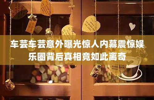 车芸车芸意外曝光惊人内幕震惊娱乐圈背后真相竟如此离奇