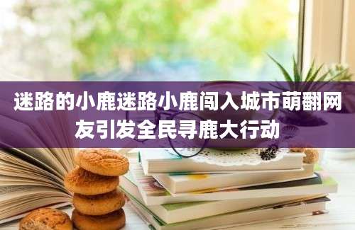 迷路的小鹿迷路小鹿闯入城市萌翻网友引发全民寻鹿大行动