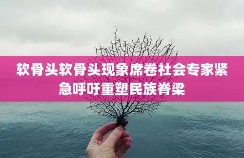 软骨头软骨头现象席卷社会专家紧急呼吁重塑民族脊梁
