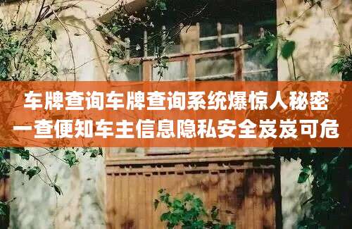 车牌查询车牌查询系统爆惊人秘密一查便知车主信息隐私安全岌岌可危