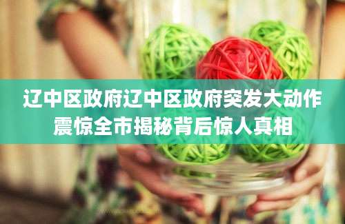 辽中区政府辽中区政府突发大动作震惊全市揭秘背后惊人真相