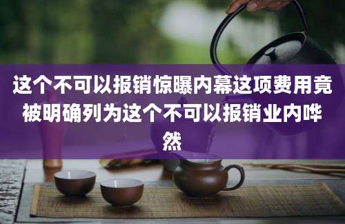 这个不可以报销惊曝内幕这项费用竟被明确列为这个不可以报销业内哗然