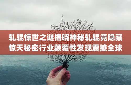 轧辊惊世之谜揭晓神秘轧辊竟隐藏惊天秘密行业颠覆性发现震撼全球