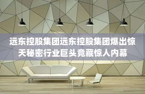远东控股集团远东控股集团爆出惊天秘密行业巨头竟藏惊人内幕