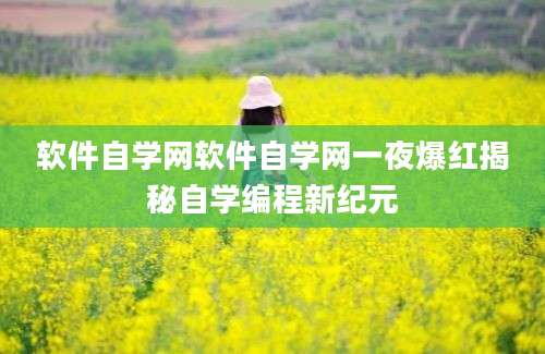 软件自学网软件自学网一夜爆红揭秘自学编程新纪元