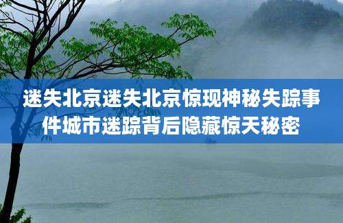 迷失北京迷失北京惊现神秘失踪事件城市迷踪背后隐藏惊天秘密