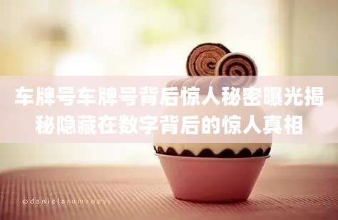 车牌号车牌号背后惊人秘密曝光揭秘隐藏在数字背后的惊人真相