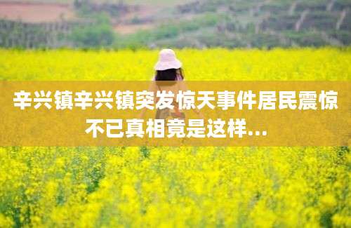 辛兴镇辛兴镇突发惊天事件居民震惊不已真相竟是这样...