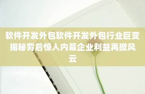 软件开发外包软件开发外包行业巨变揭秘背后惊人内幕企业利益再掀风云