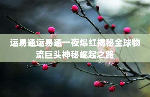 运易通运易通一夜爆红揭秘全球物流巨头神秘崛起之路